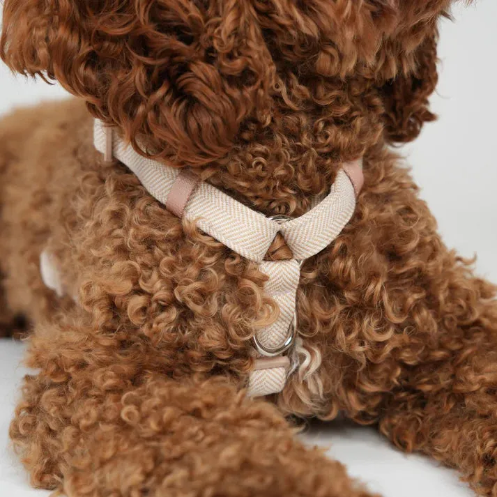 Staey Tara H-sele hundesele light rose letvægt