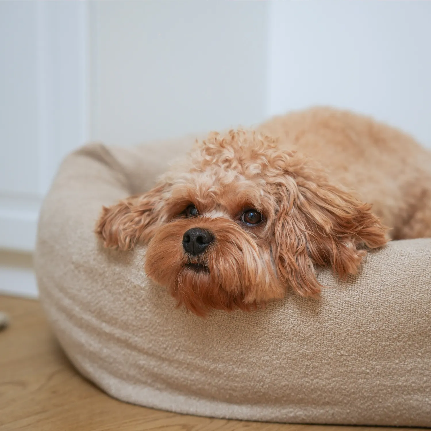 Staey Luna 3.0 hundeseng bouclé Oat sekskantet