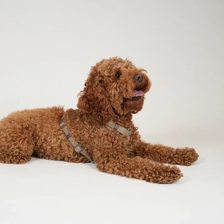 Staey Tara H-sele hundesele Mocca letvægt
