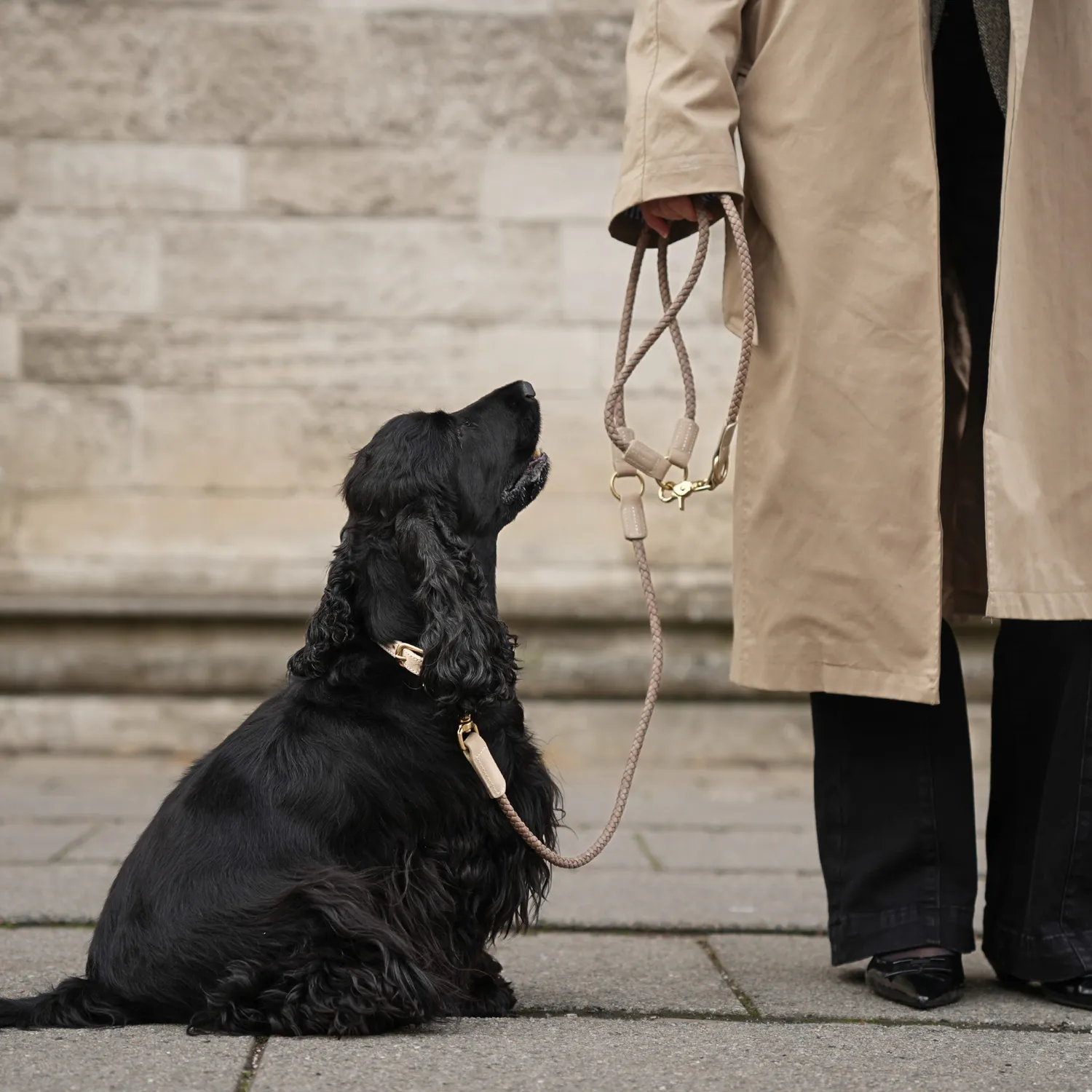 Staey Kaia flettet hundesnor Taupe læder 2 m