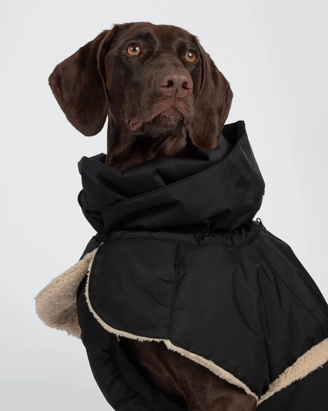 Paikka Kuura vinterjakke sort varm til hunden