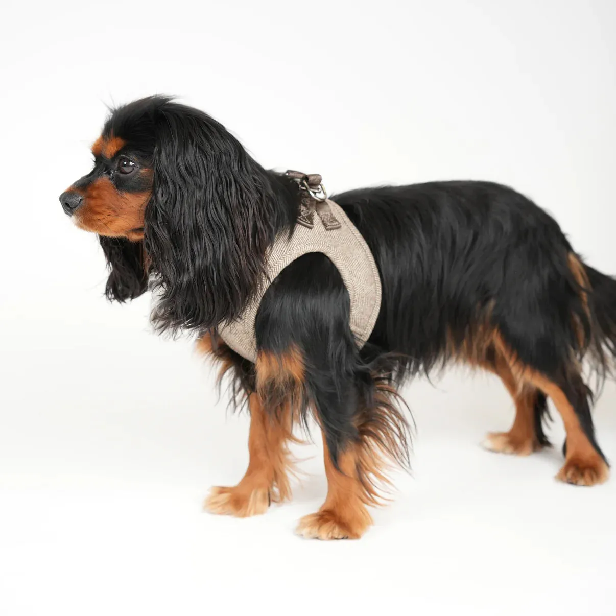 Staey Saga step-in hundesele Mocca blød