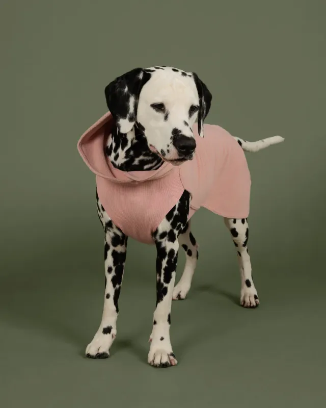 Paikka Seawool Shirt Pale Pink hundetrøje varm