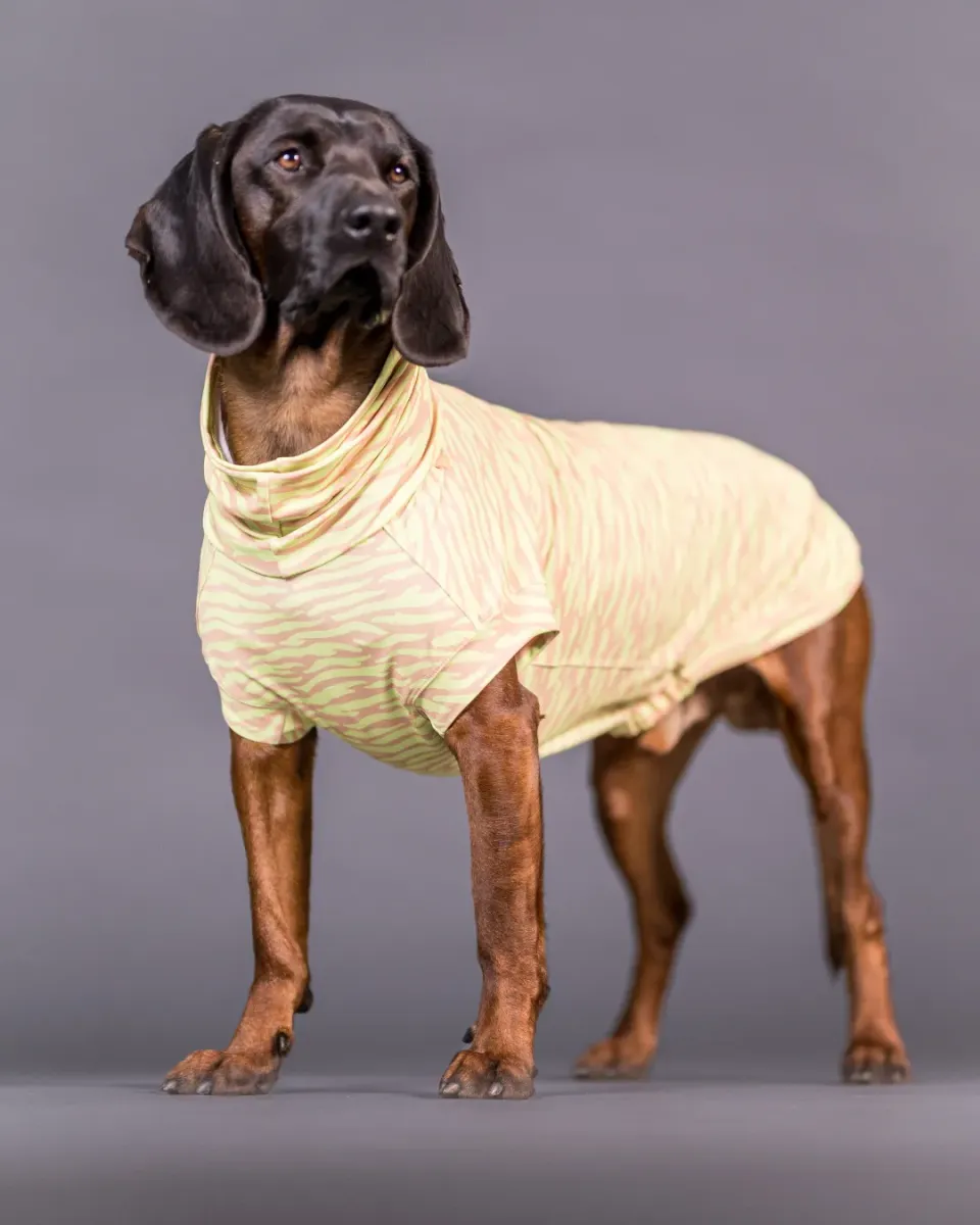 Paikka UV & Bug hundetrøje matcha UPF50+