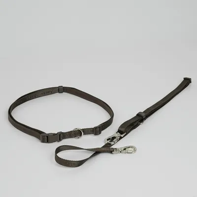 Staey Hands-Free hundesnor Mocca justerbar