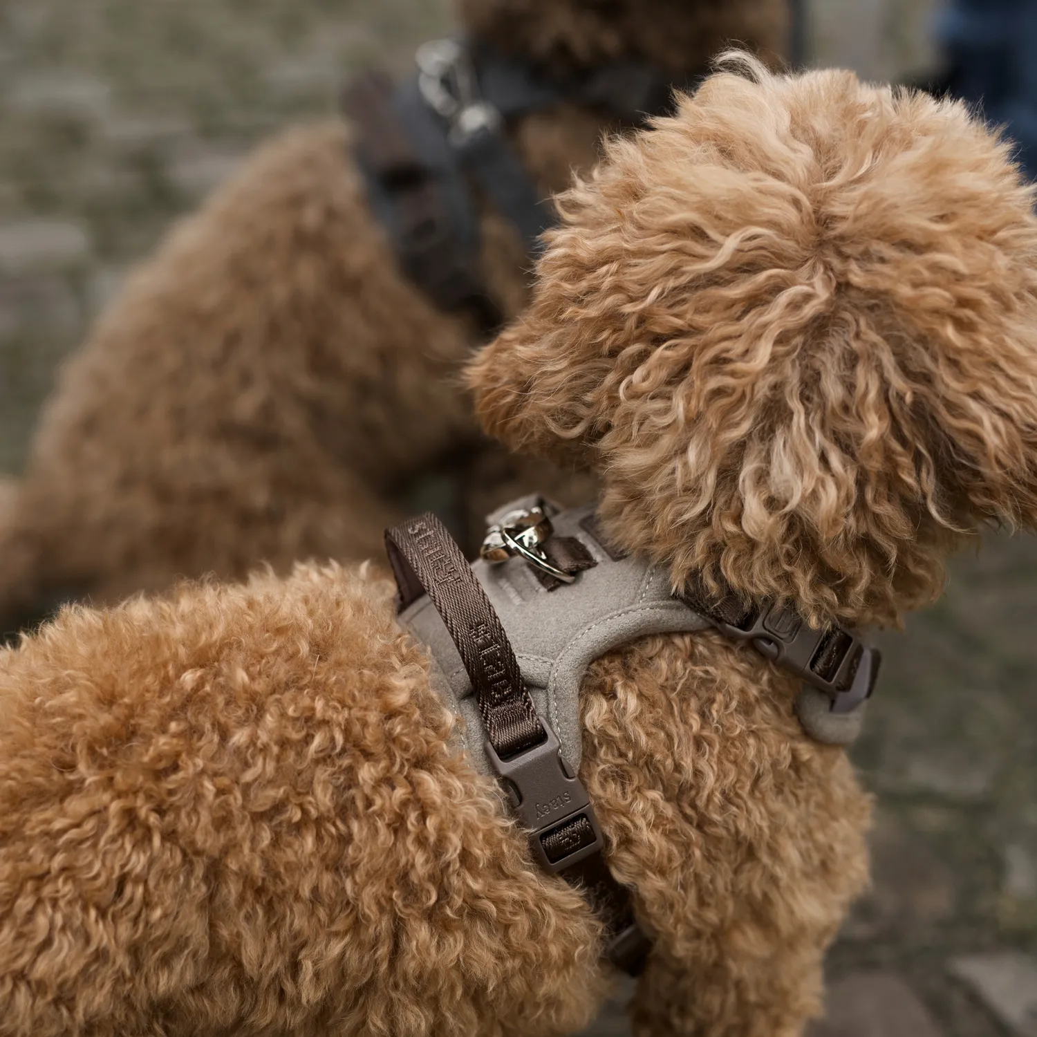 Staey Elma hundesele sand ergonomisk