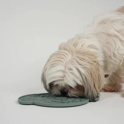 Staey Slikkemåtte Moss Green – Aktivering til Hund