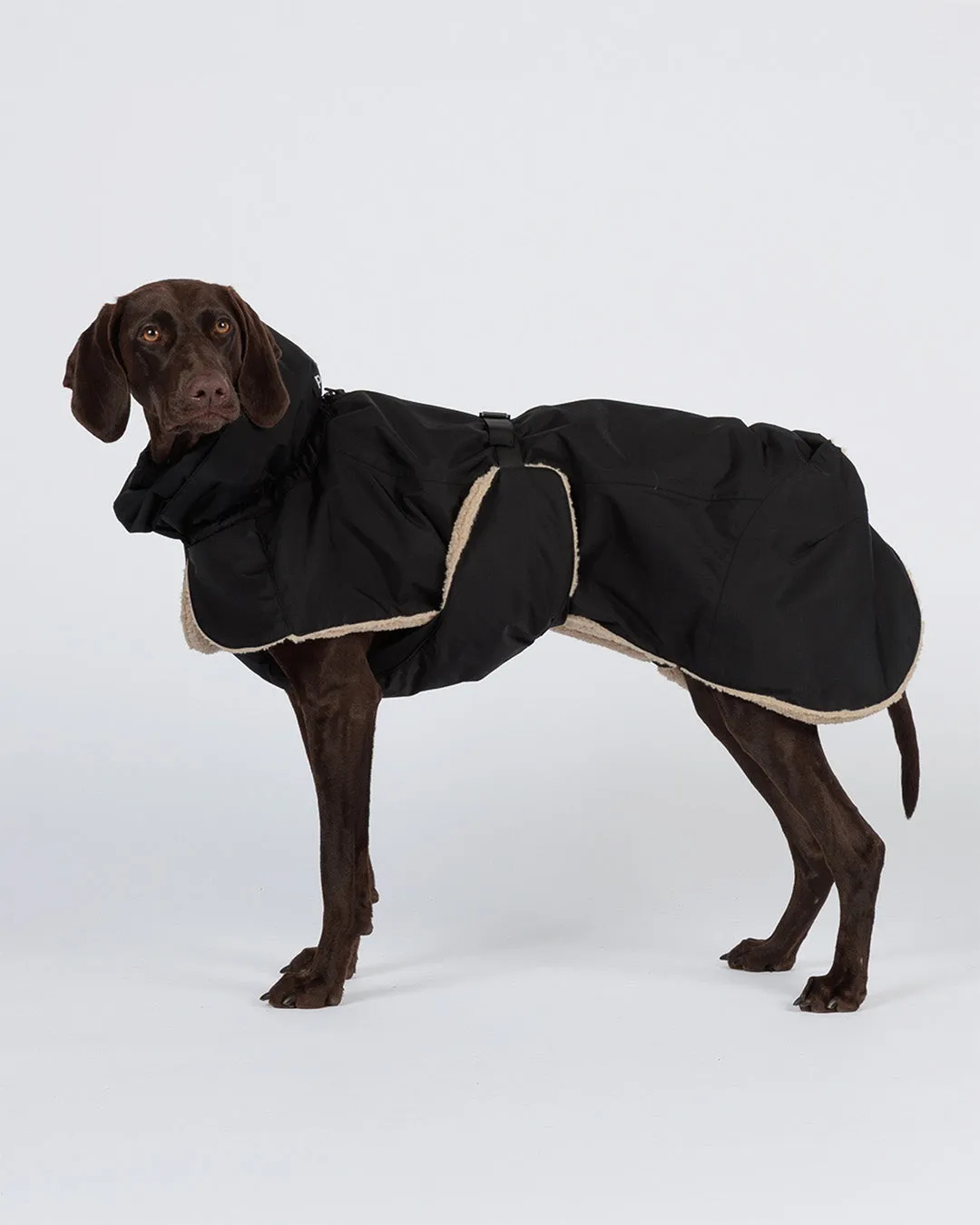 Paikka Kuura vinterjakke sort varm til hunden