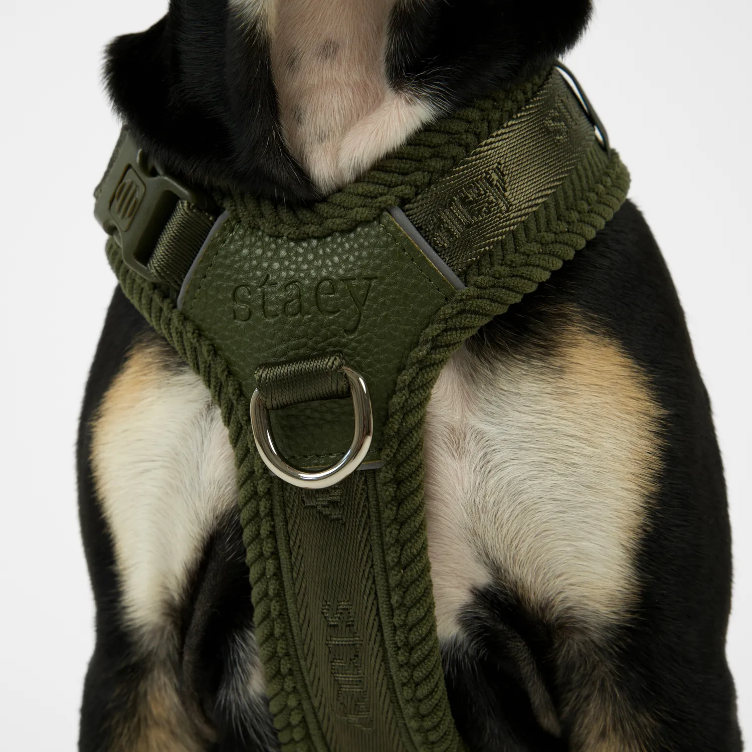 Staey Numa hundesele til hund Moss Green