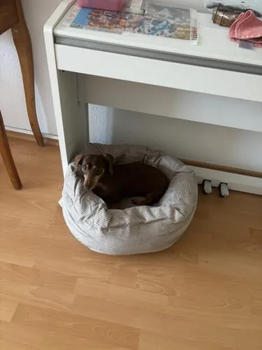 Staey Luna 3.0 hundeseng Moss Green Corduroy