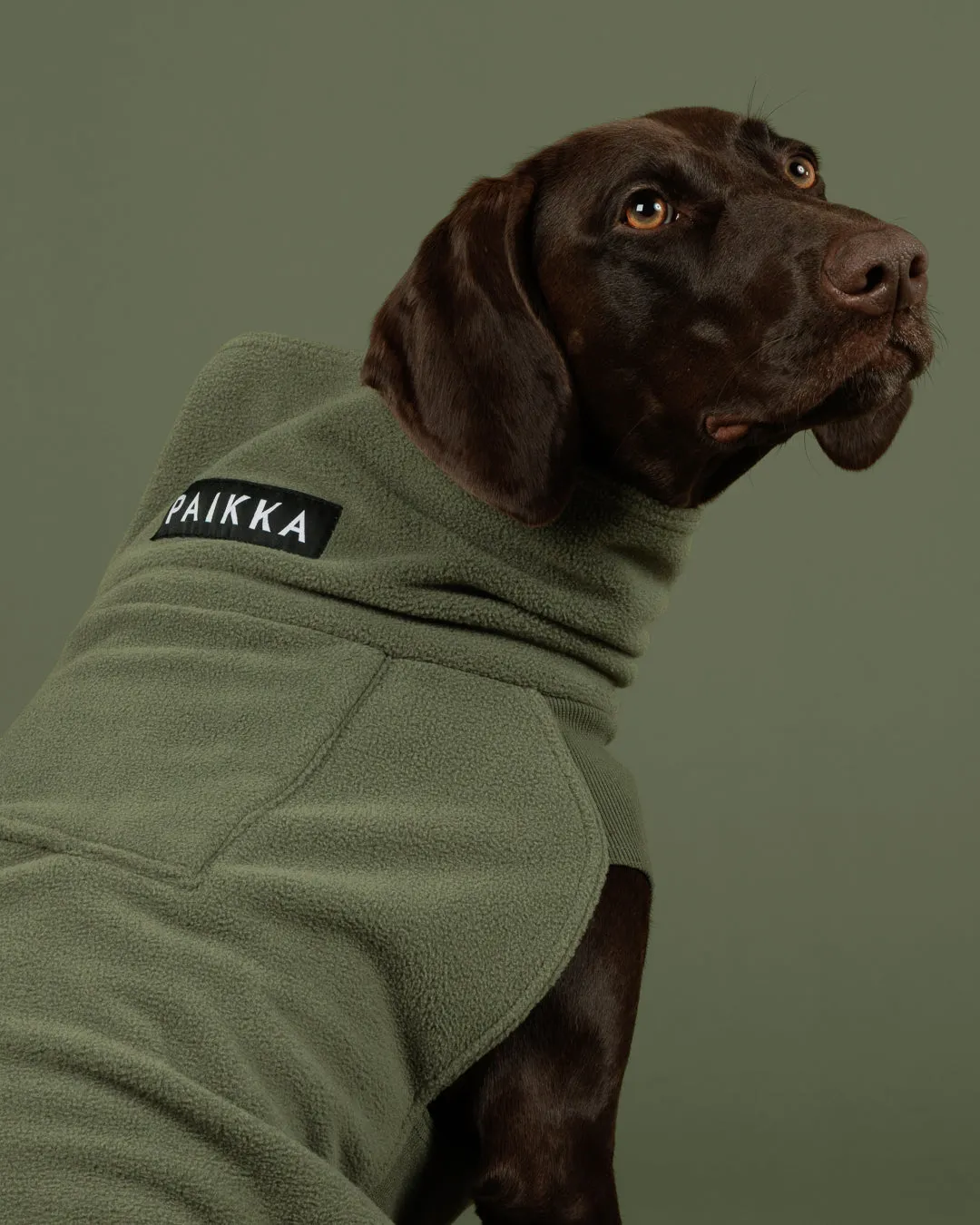 Paikka Seawool hundetrøje timian varmende