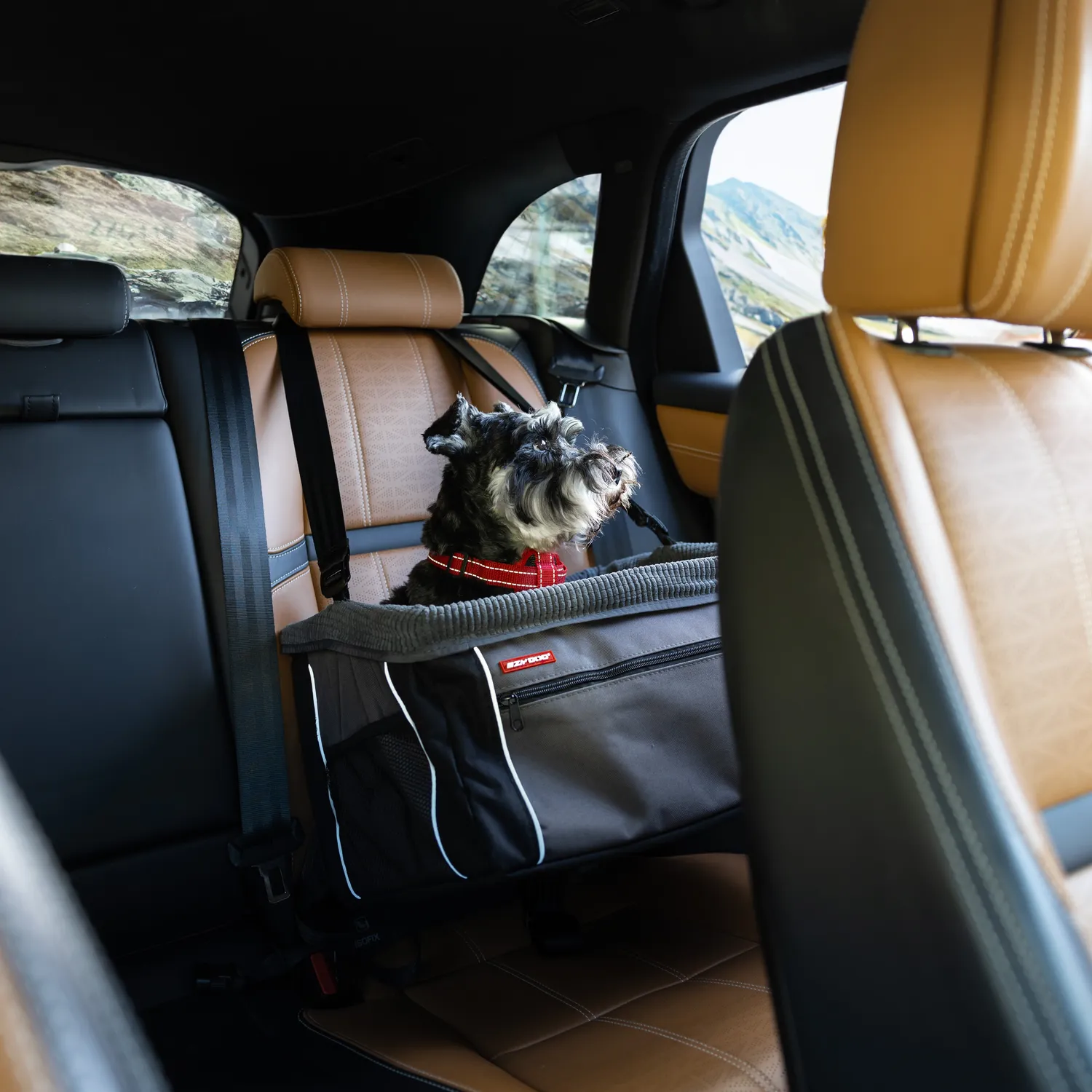 EzyDog Drive Booster autostol til hund charcoal op til 15 kg