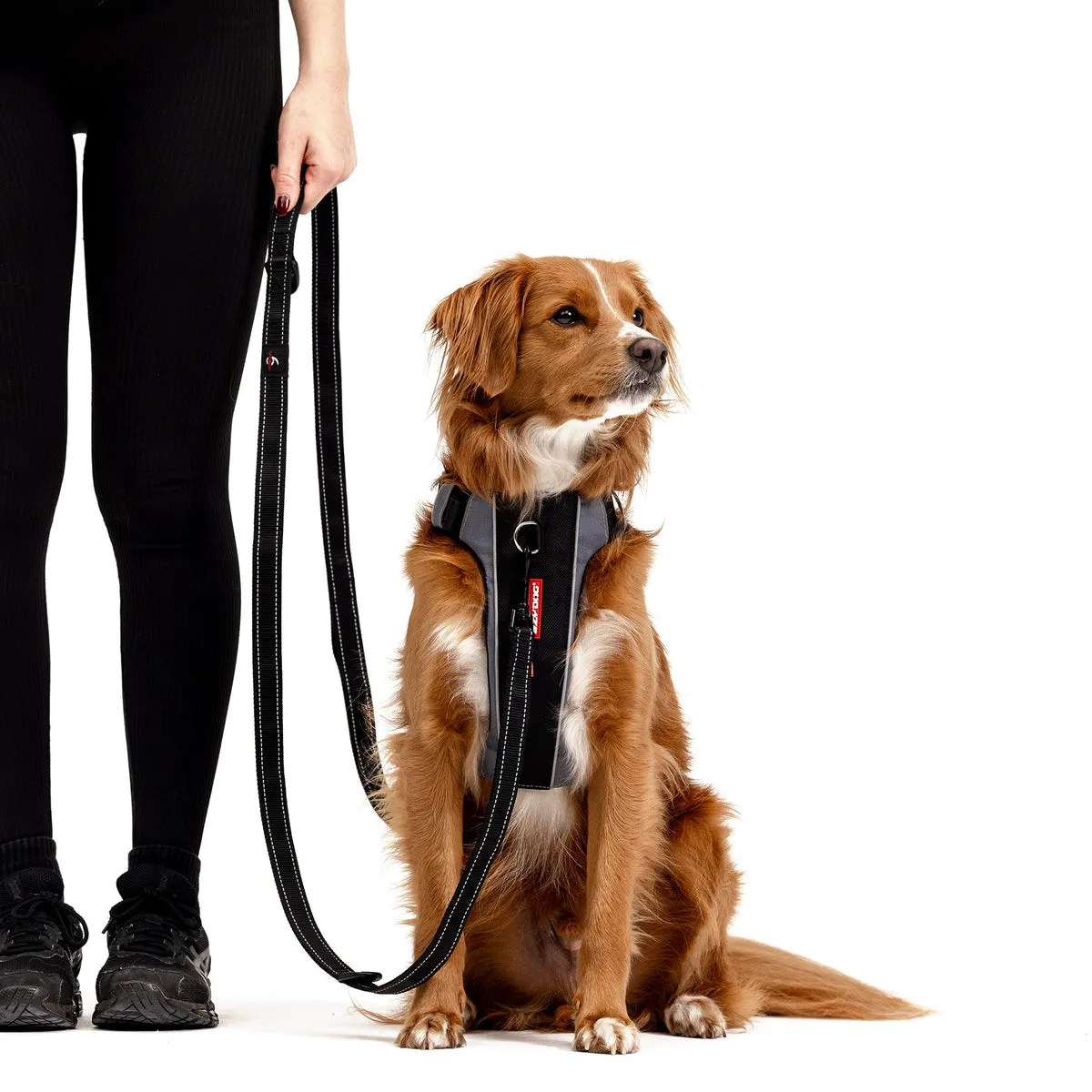 EzyDog X-Link hundesele dobbeltclip foret