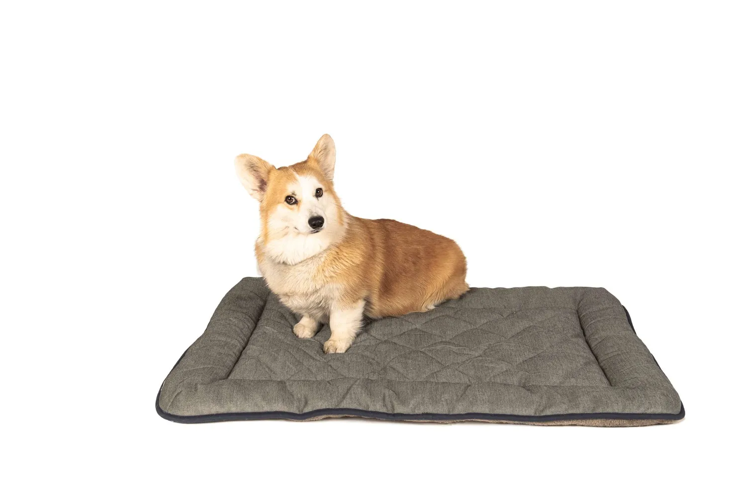 Dog Gone Smart Chenille Sleeper hundetæppe vandafvisende