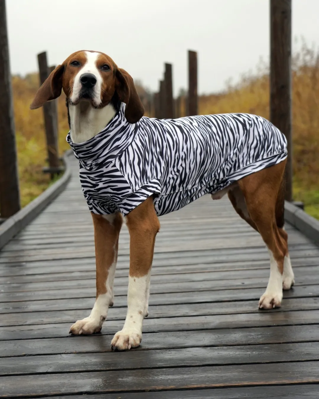Paikka UV & Bug Shirt hundetrøje zebra UPF 50+