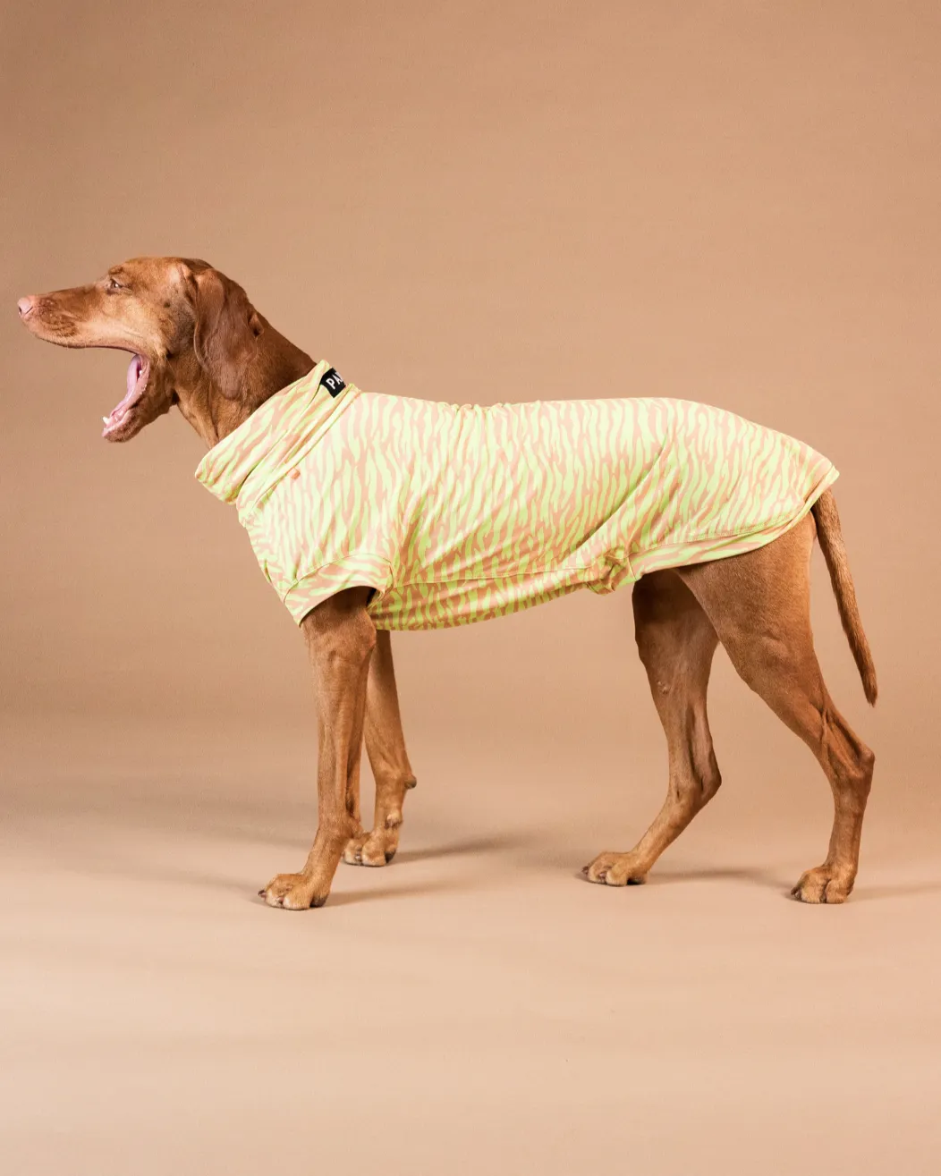 Paikka UV & Bug hundetrøje matcha UPF50+