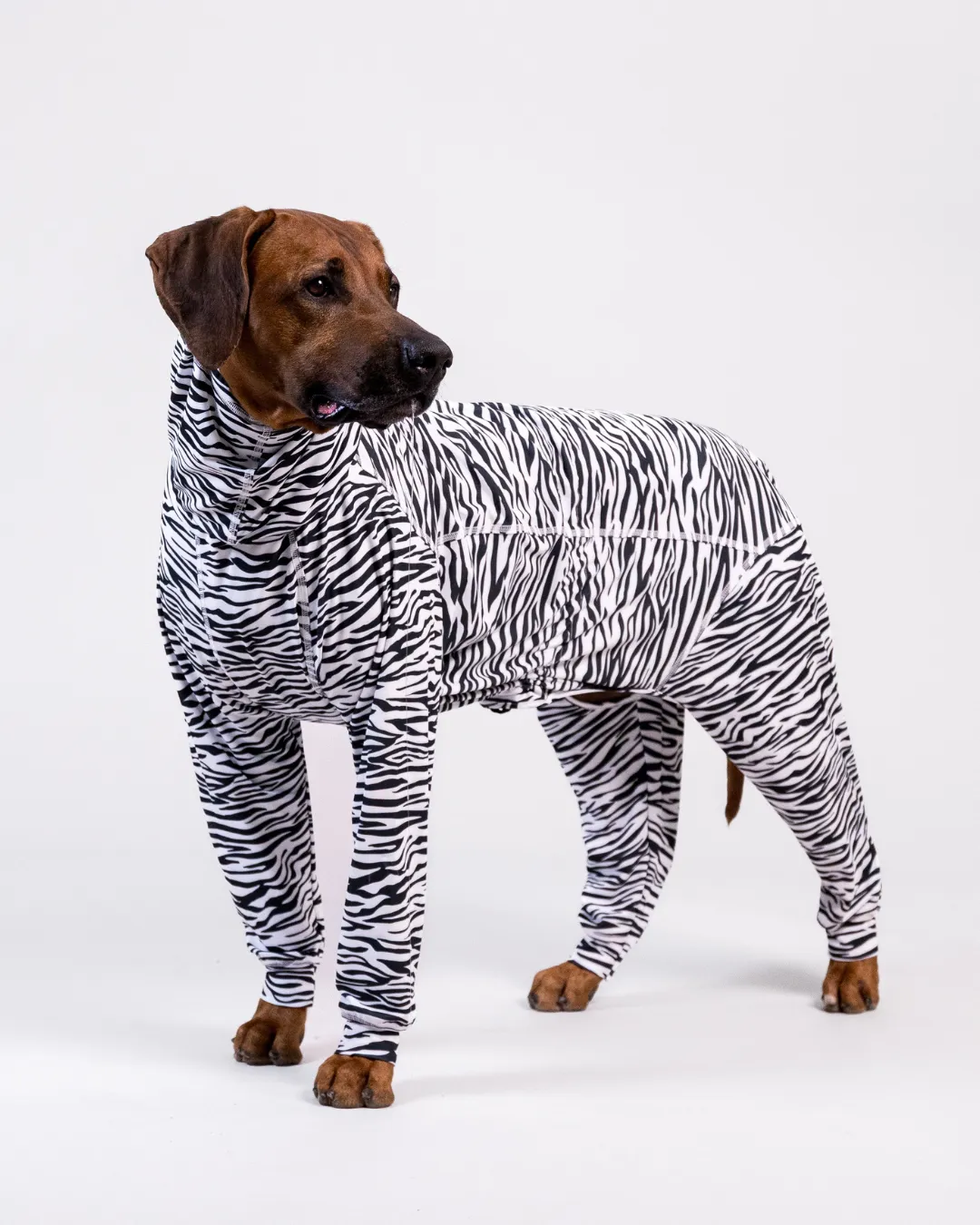 Paikka UV Bug Overall hundedragt zebra UV-beskyttende