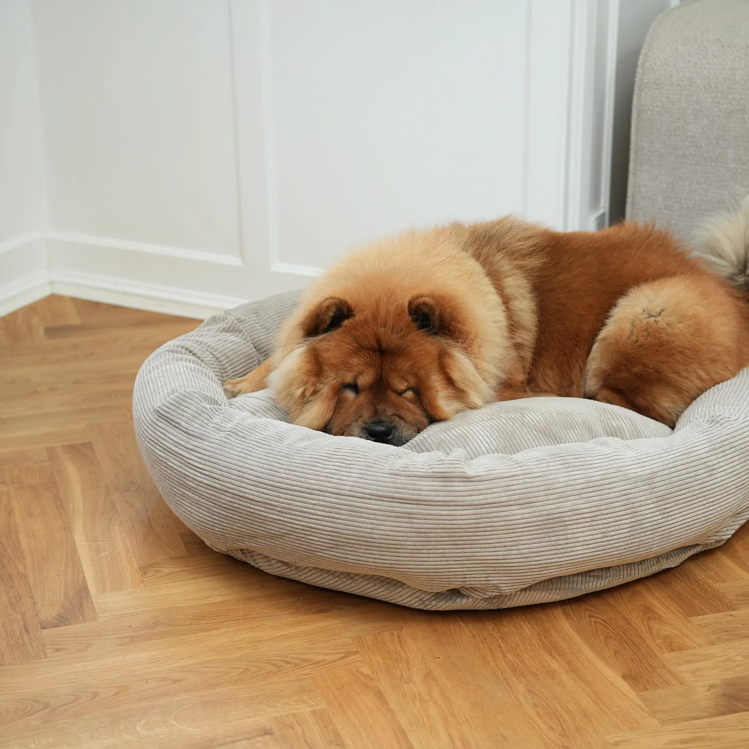 Staey Luna 3.0 hundeseng Dune Corduroy vaskbar