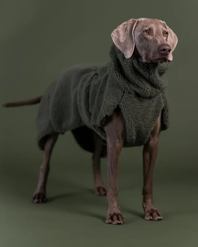 Paikka Sherpa Shirt hundetrøje oliven Seawool varm