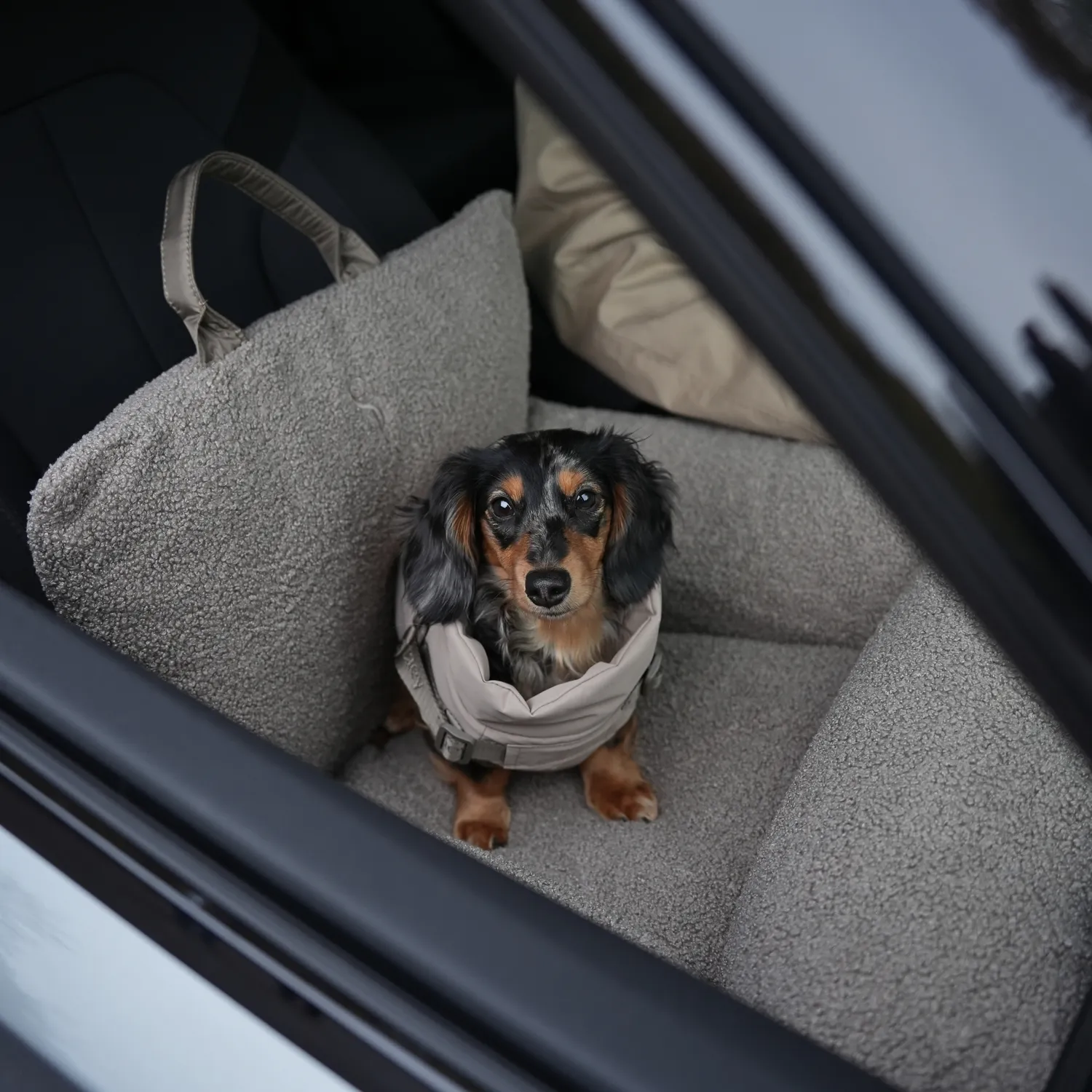Staey Lara Teddy 2.0 bilsæde til hund 58 cm