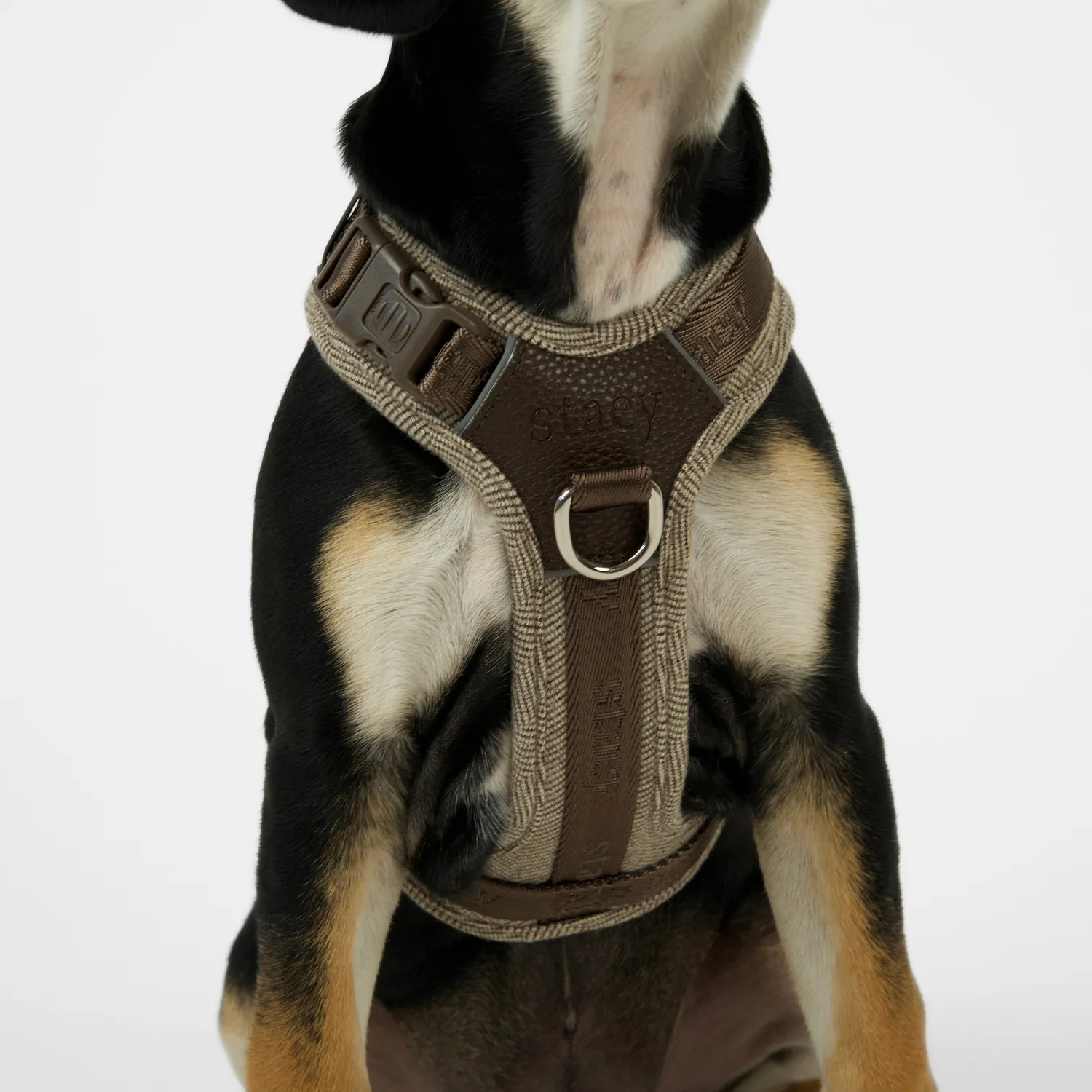 Staey Numa hundesele Mocca let Y-sele