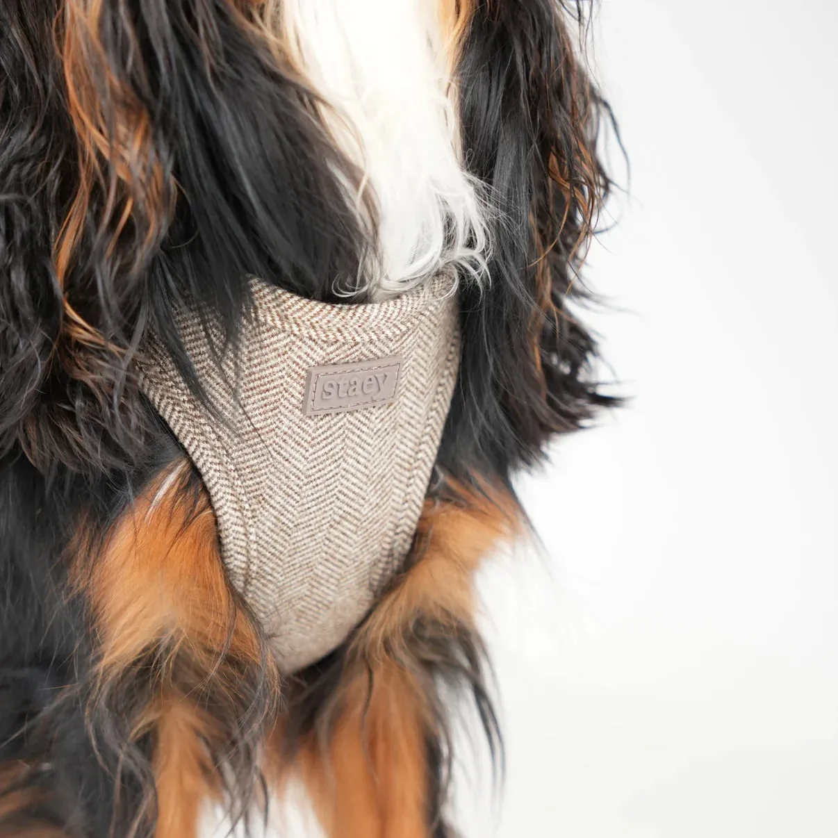 Staey Saga step-in hundesele Mocca blød