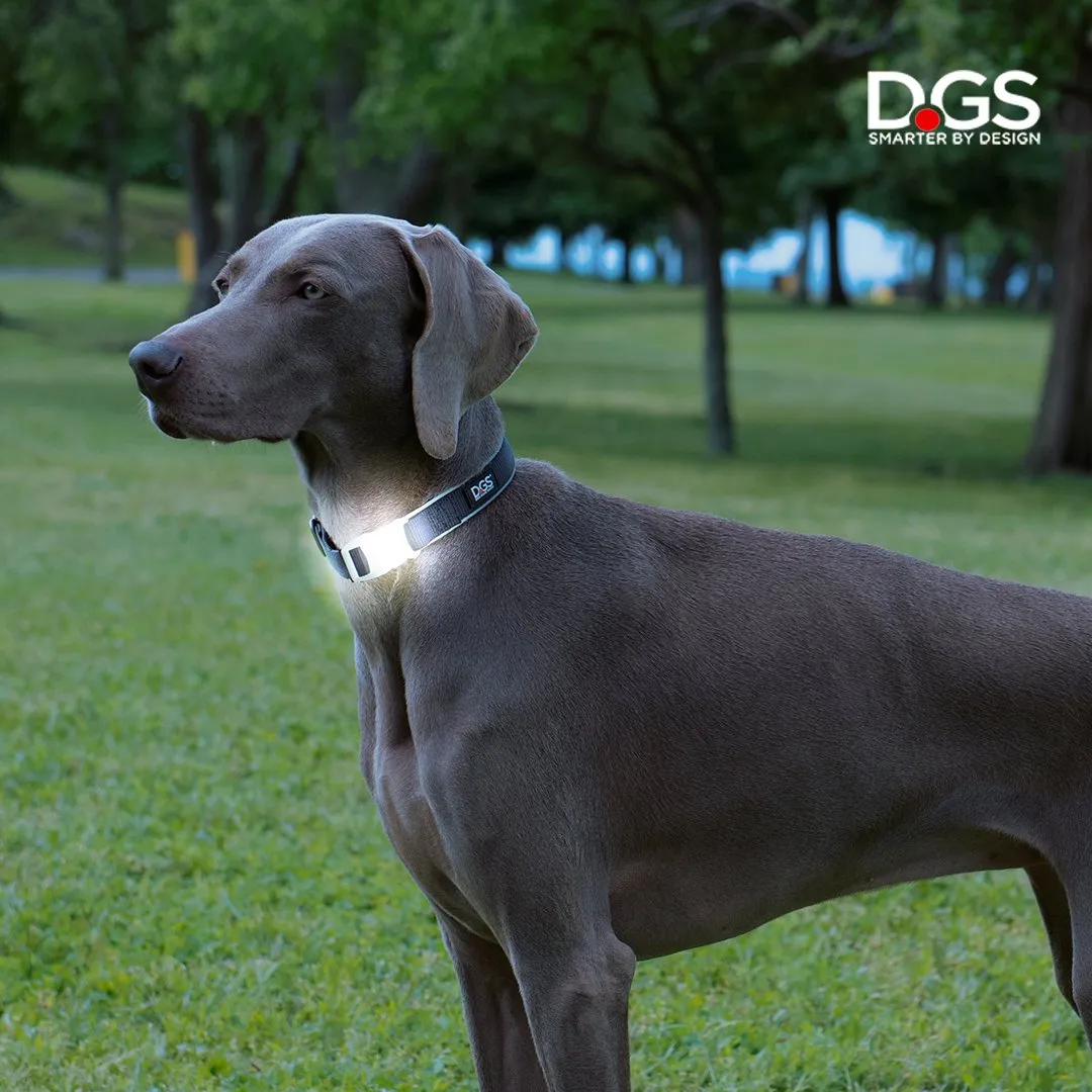 Dog Gone Smart Comet LED hundehalsbånd med lys