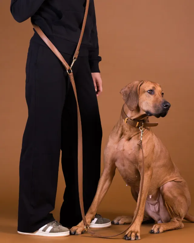Paikka Lignify multileash hundesnor brun 300 cm