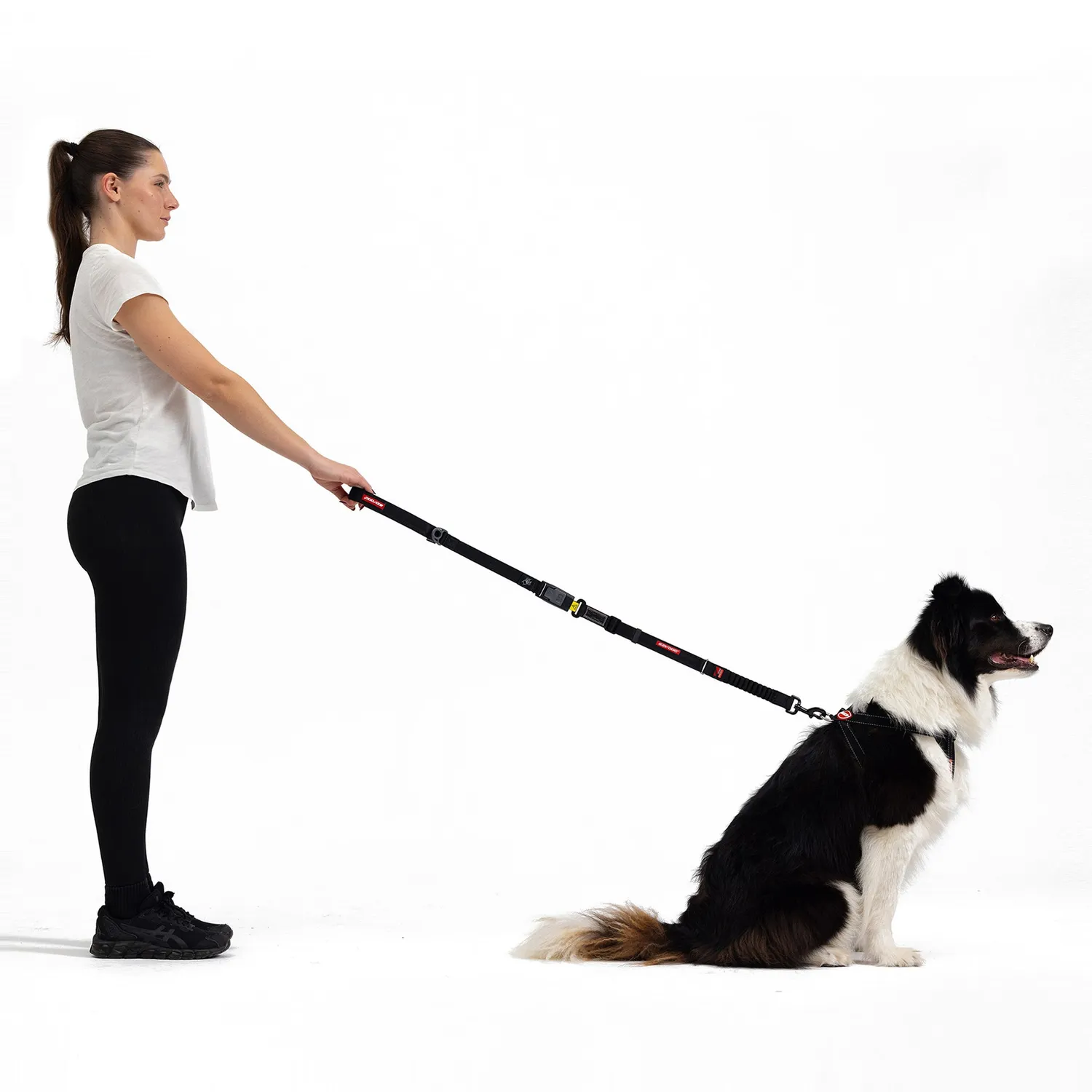 EzyDog Drive Click hundeline selebælte sort