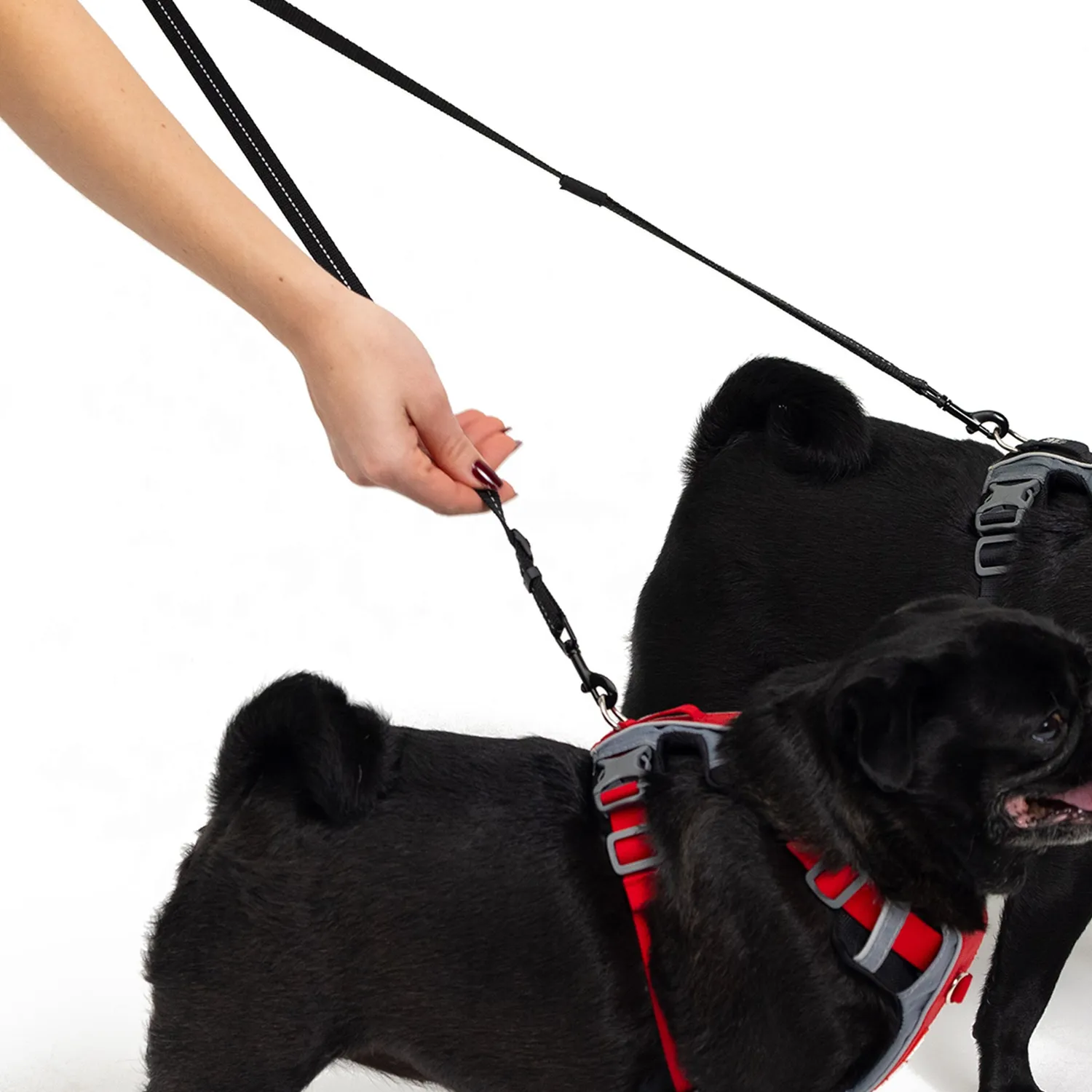 EzyDog Soft Touch kobbel dobbelt sort 60cm