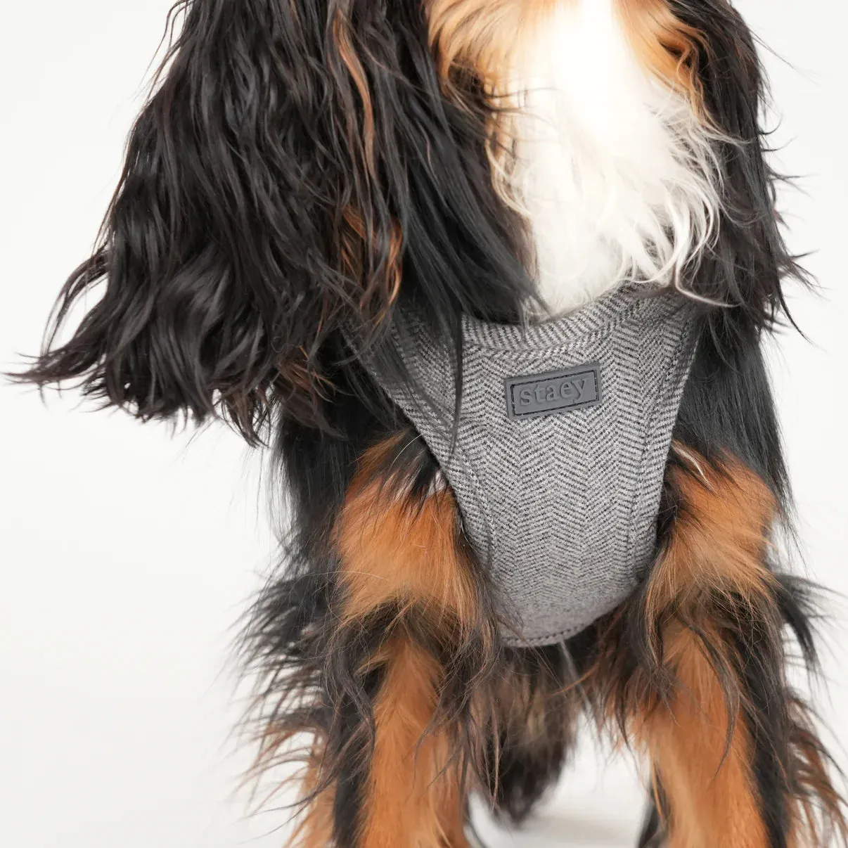 Staey Saga step-in hundesele dusty blue blød