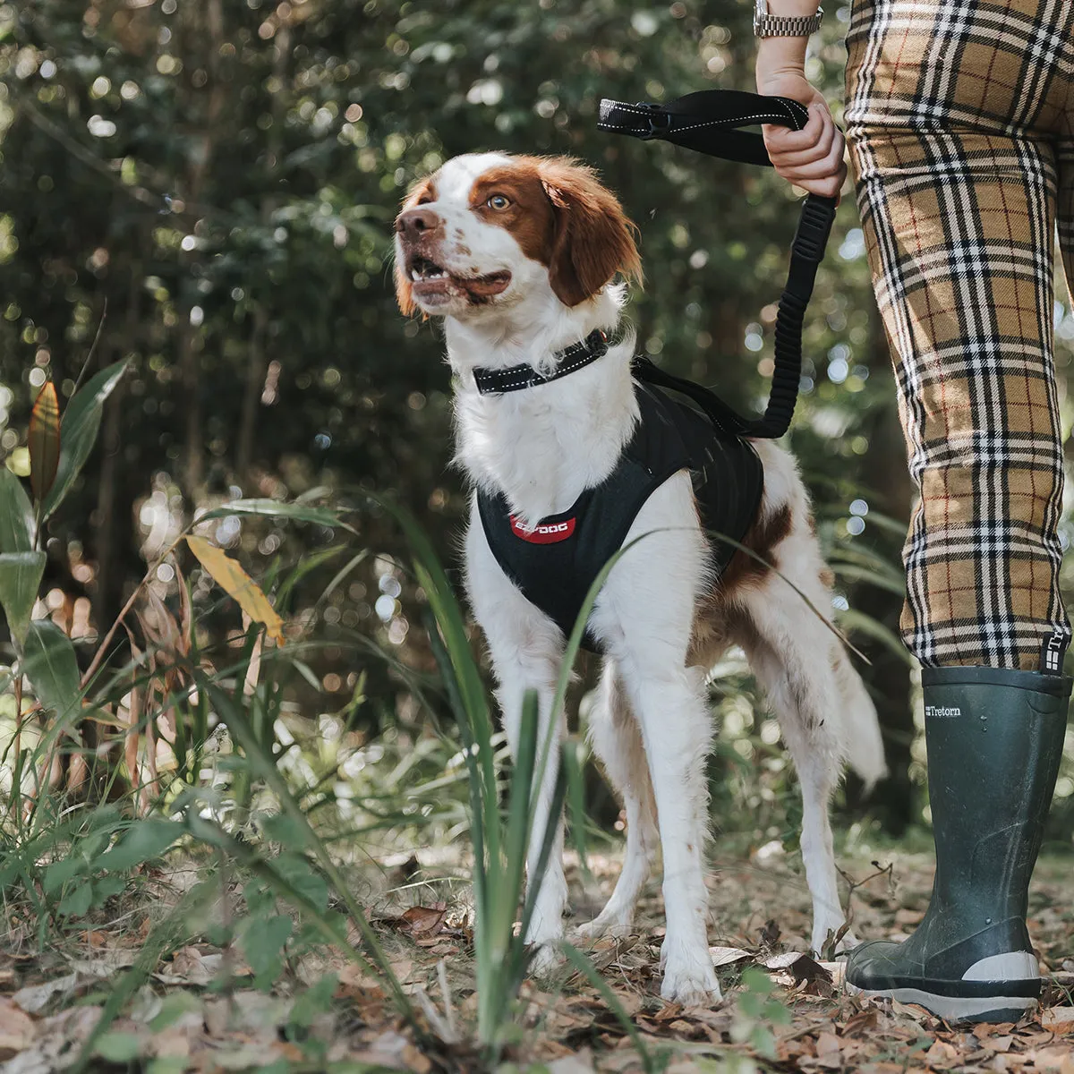 EzyDog Thermax hundevest isolerende sort