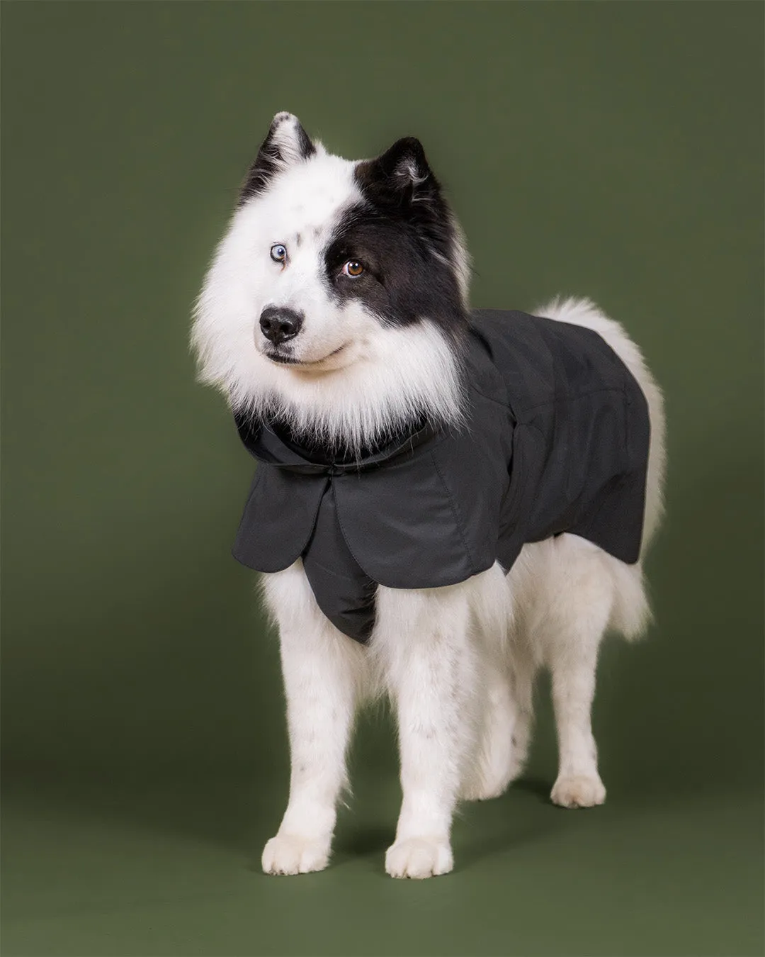 Paikka Visibility Raincoat regnjakke Seawool Dark reflekterende