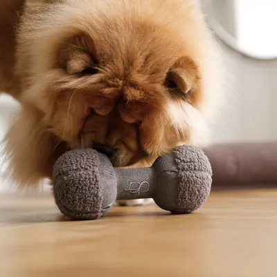 Staey Clara snuffle legetøj til hund Limited Edition