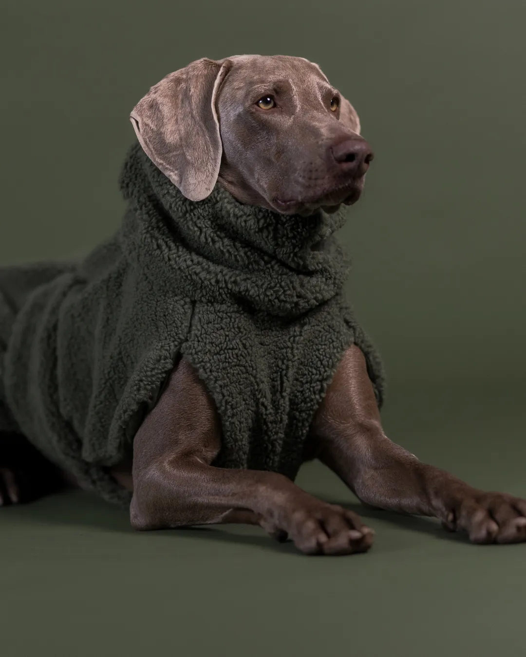 Paikka Sherpa Shirt hundetrøje oliven Seawool varm