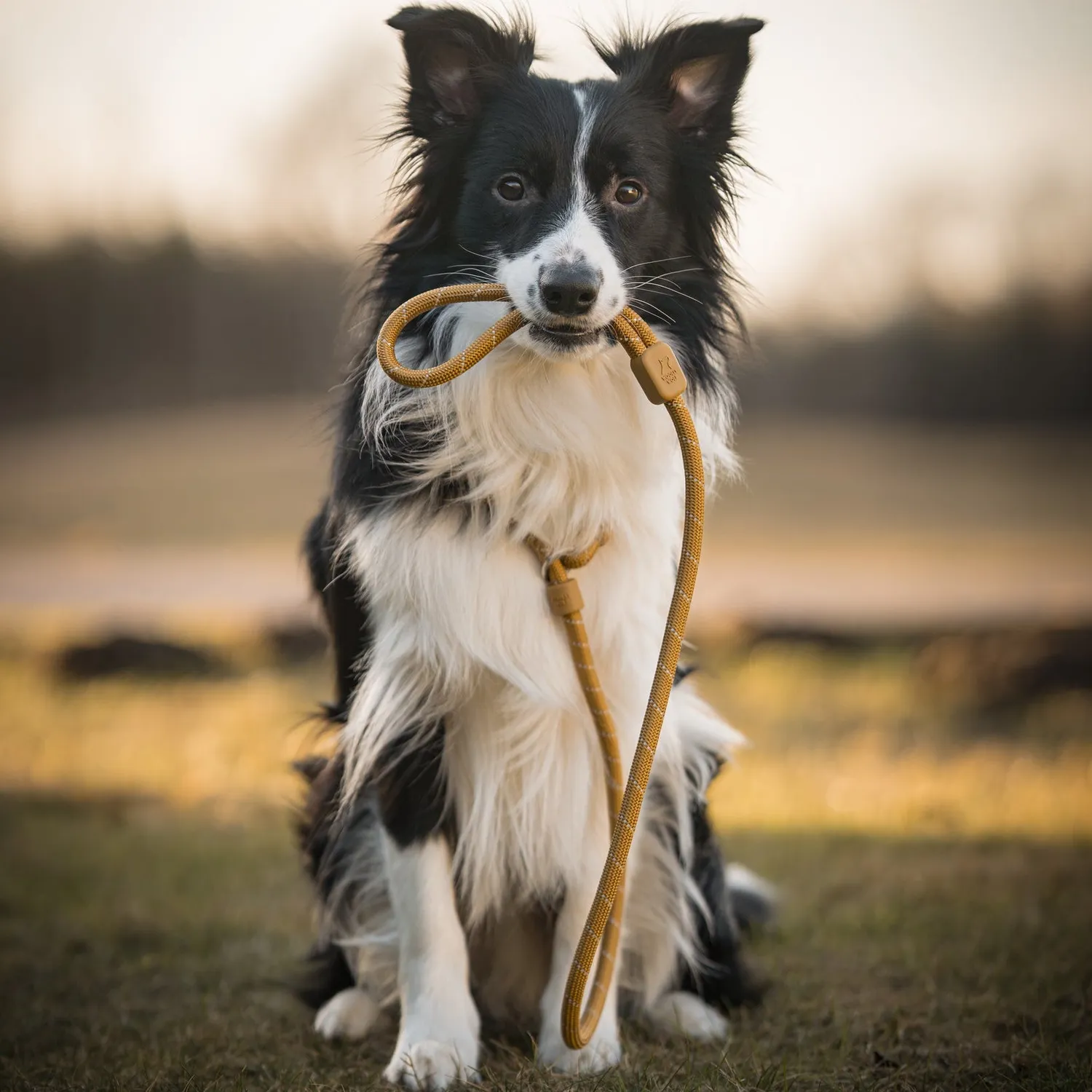 Woolly Wolf Retrieverline hundesnor 160 cm træbrun refleks