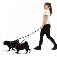 EzyDog Soft Touch Coupler LITE dobbeltline til små hunde med refleks