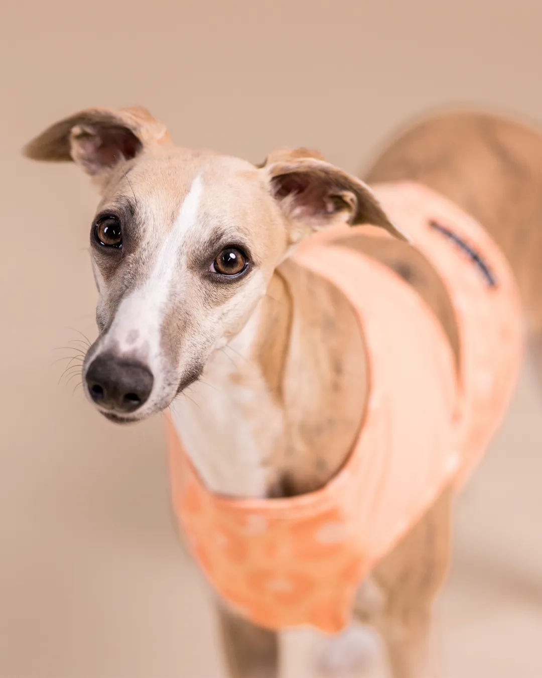 Paikka Cool Vest Peach kølevest fersken