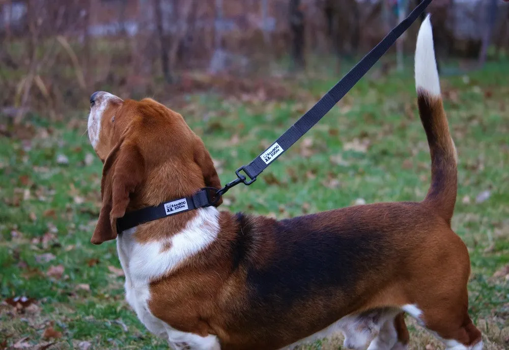 Bamboo Groom Bamboo Leashes hundesnor Medium Sort