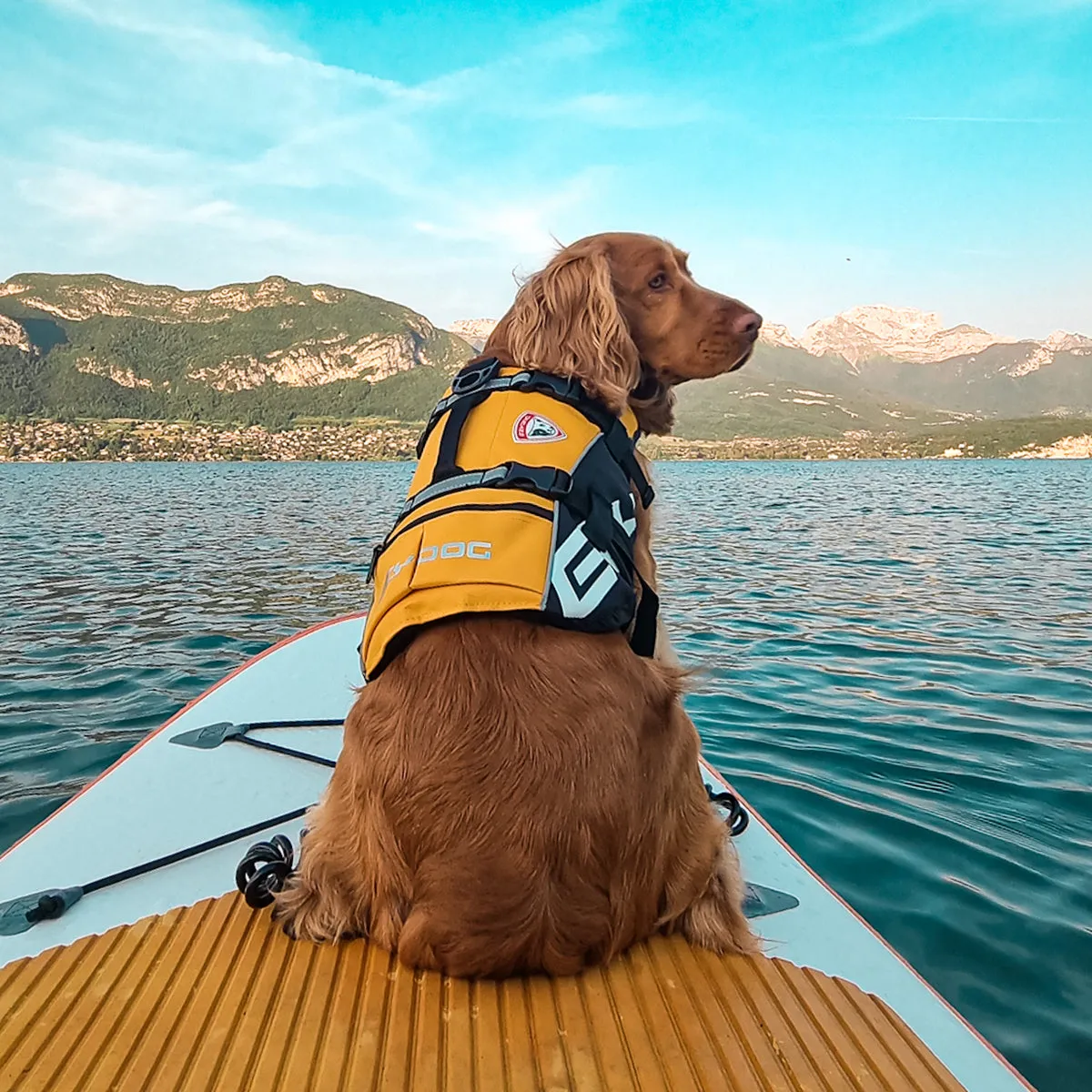EzyDog DFD Standard svømmevest til hund rød M