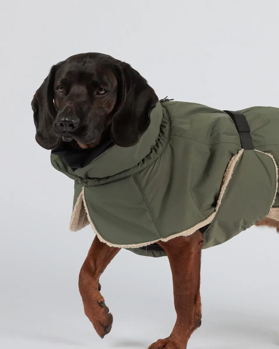 Paikka Kuura vinterjakke til hund Thyme varm