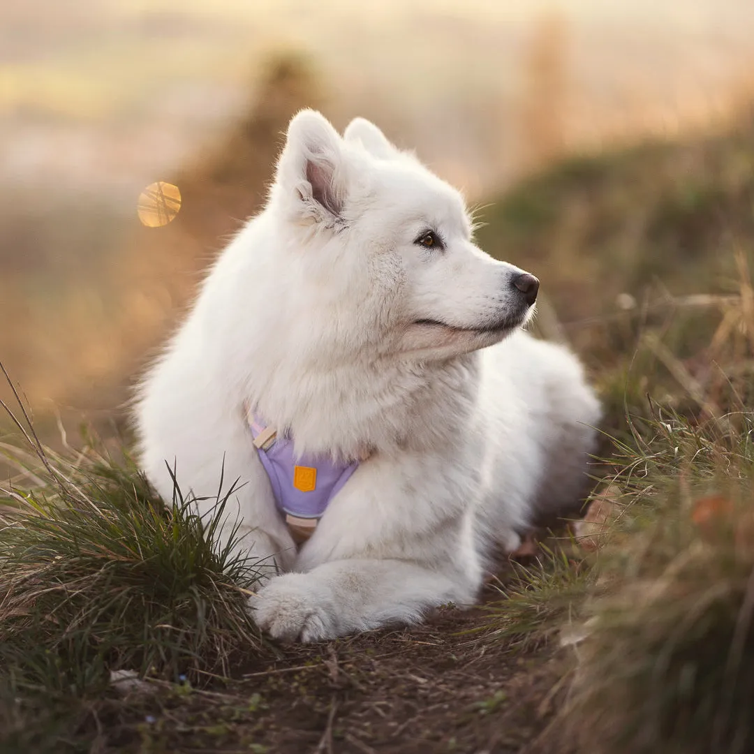 Woolly Wolf Sunshower hundesele blød