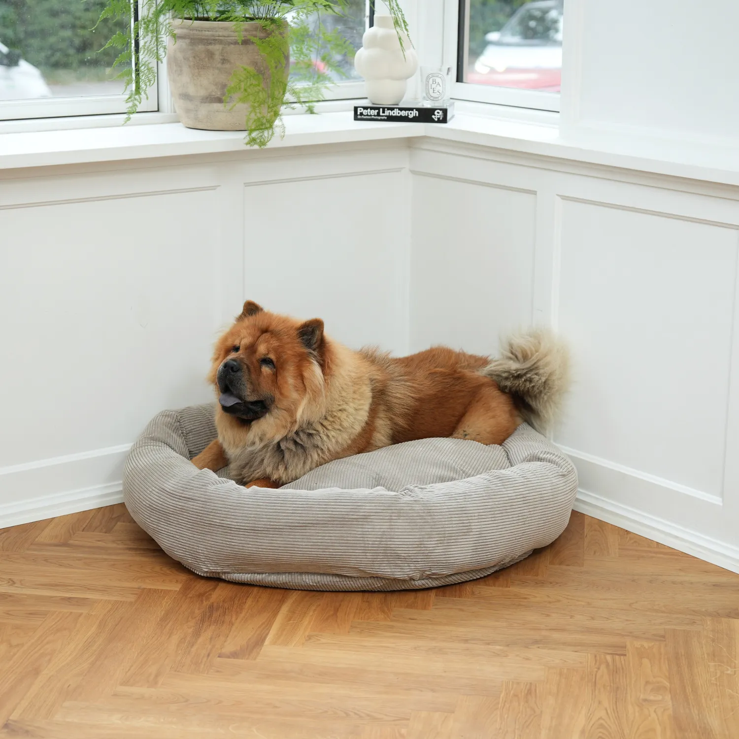 Staey Luna 3.0 hundeseng Dune Corduroy vaskbar