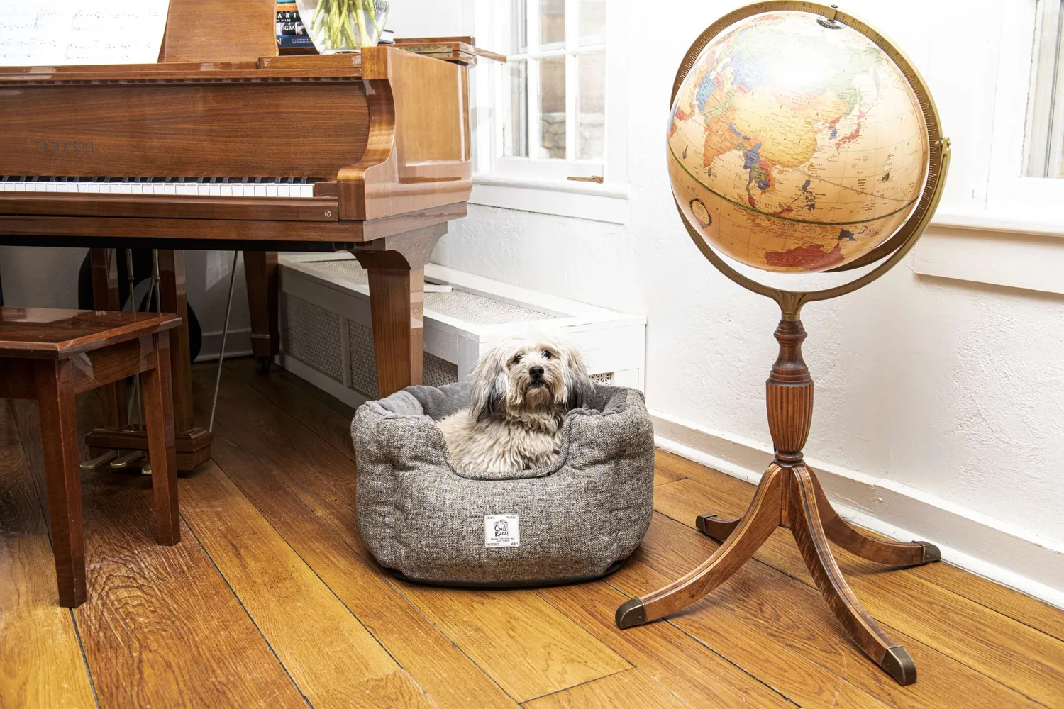 Dog Gone Smart Chill Kuzzi Round Bed hundeseng beroligende
