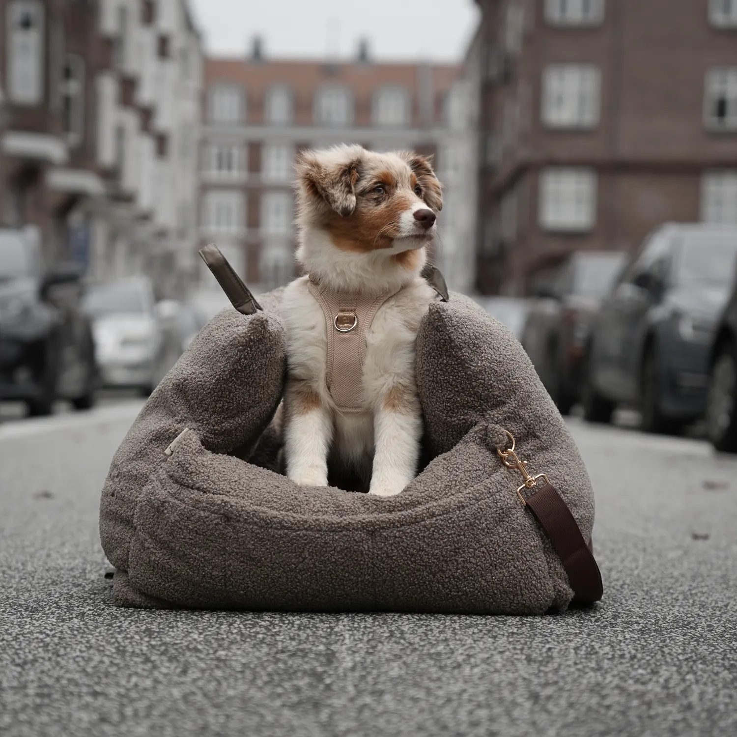 Staey Lara Teddy 2.0 bilsæde til hund 58 cm