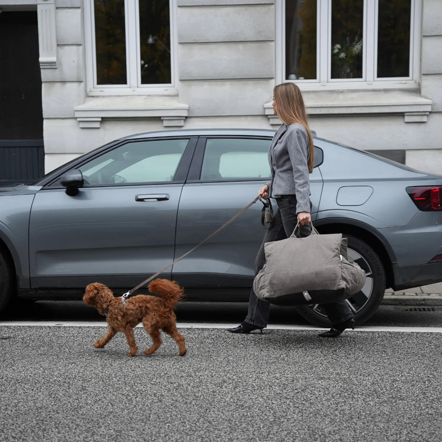Staey Lara bilsæde til hund Taupe 2.0 op til 18 kg