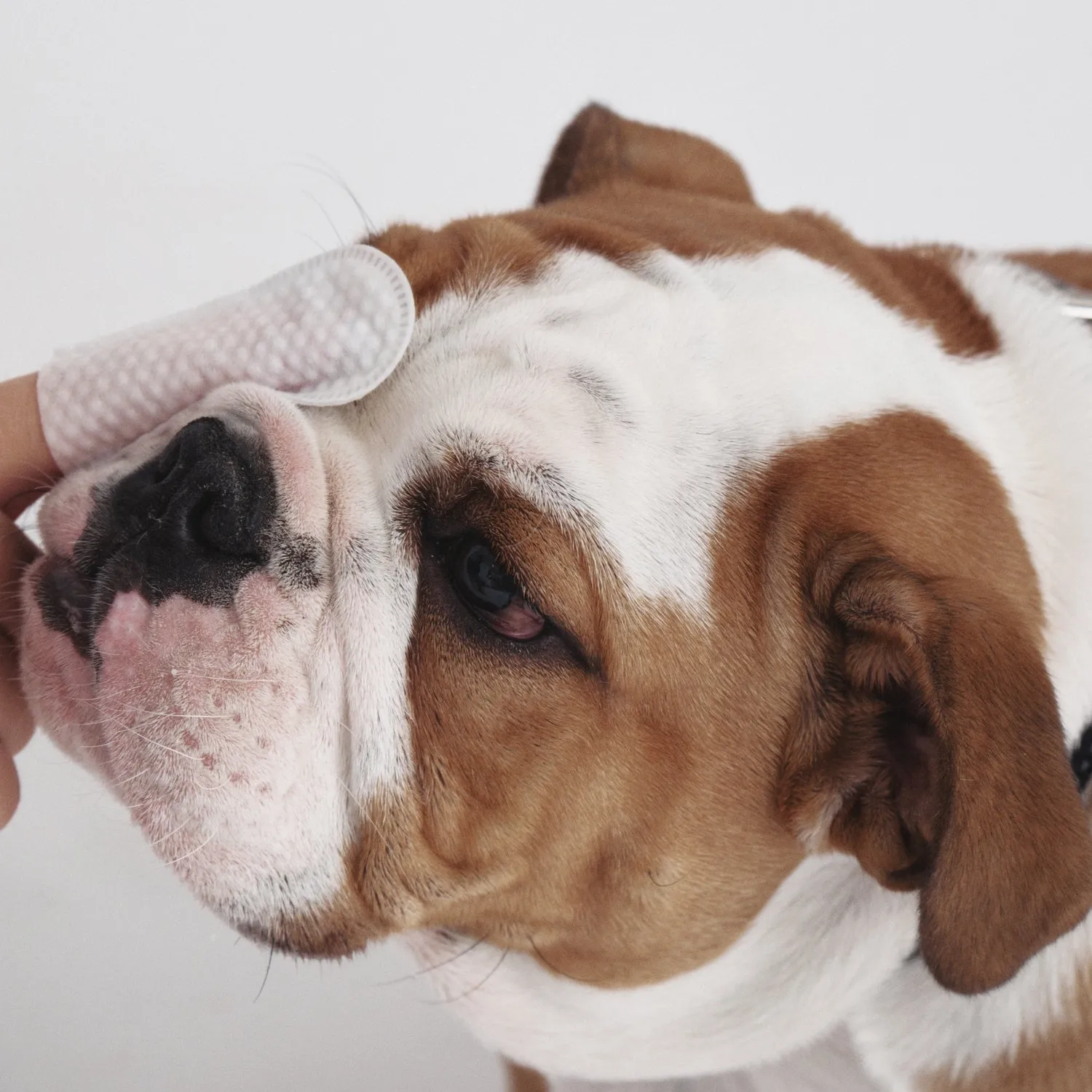 Goo-eez Premium Eye øjenservietter til hund 60 stk mild