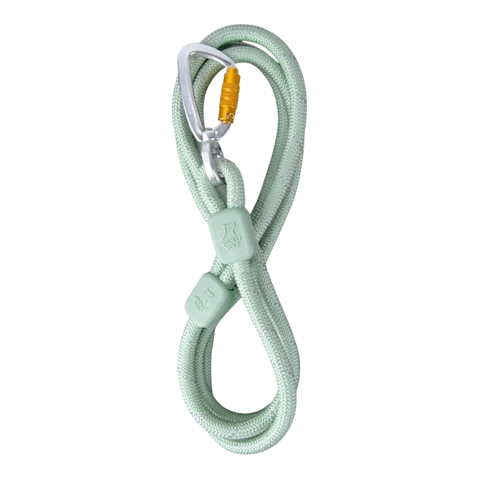 Woolly Wolf Rope Leash hundesnor glacier green 180 cm refleks