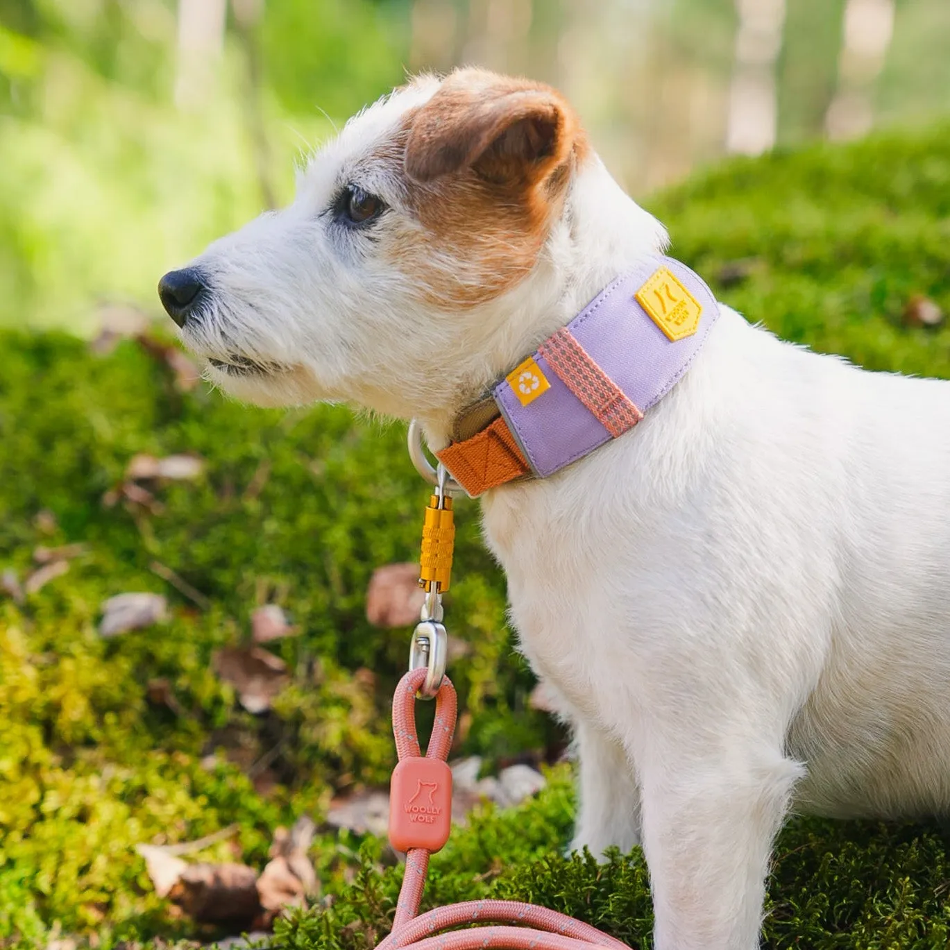 Woolly Wolf Alpha 360 hundehalsbånd lavender komfort