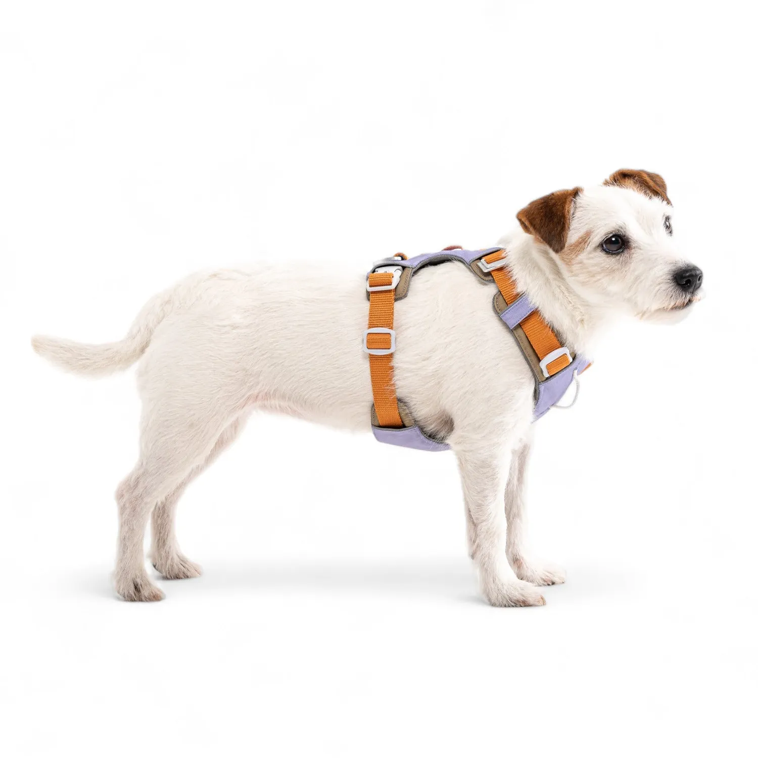 Woolly Wolf Alpha 360 sele lavendel genanvendt